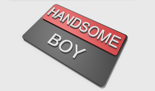 Handsome Boy (8x5)