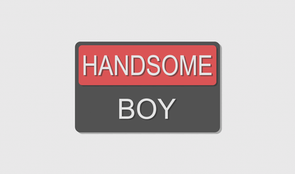 Handsome Boy (8x5)