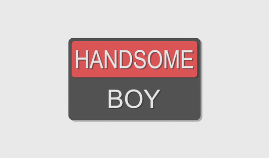 Handsome Boy (8x5)